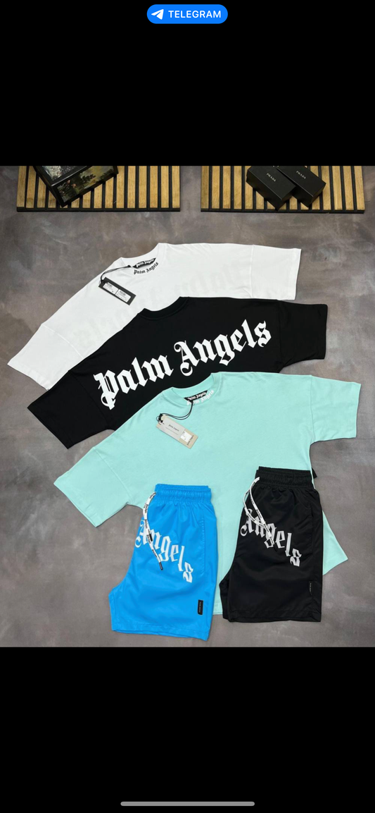 PALM ANGEL SET (1 t shirt and shorts ) FAST